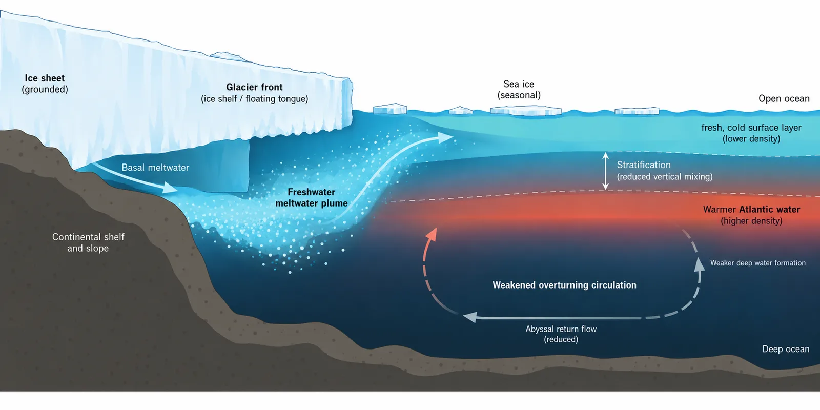 Glacier meltwater and ocean circulation