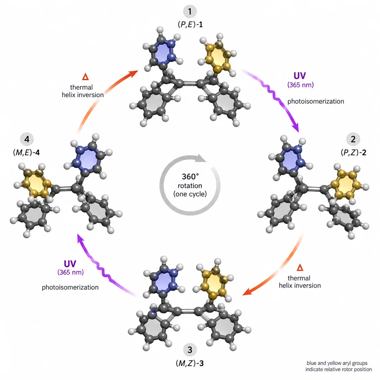 Light-driven molecular motor