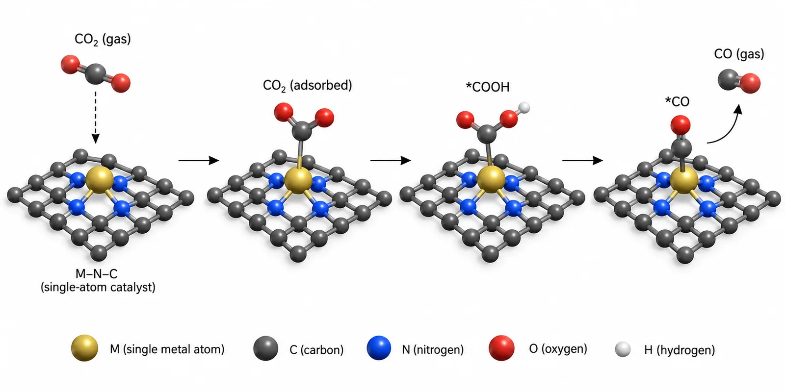 CO2 electroreduction on single-atom catalysts