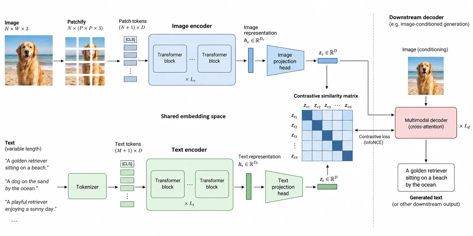 Vision–language alignment architecture